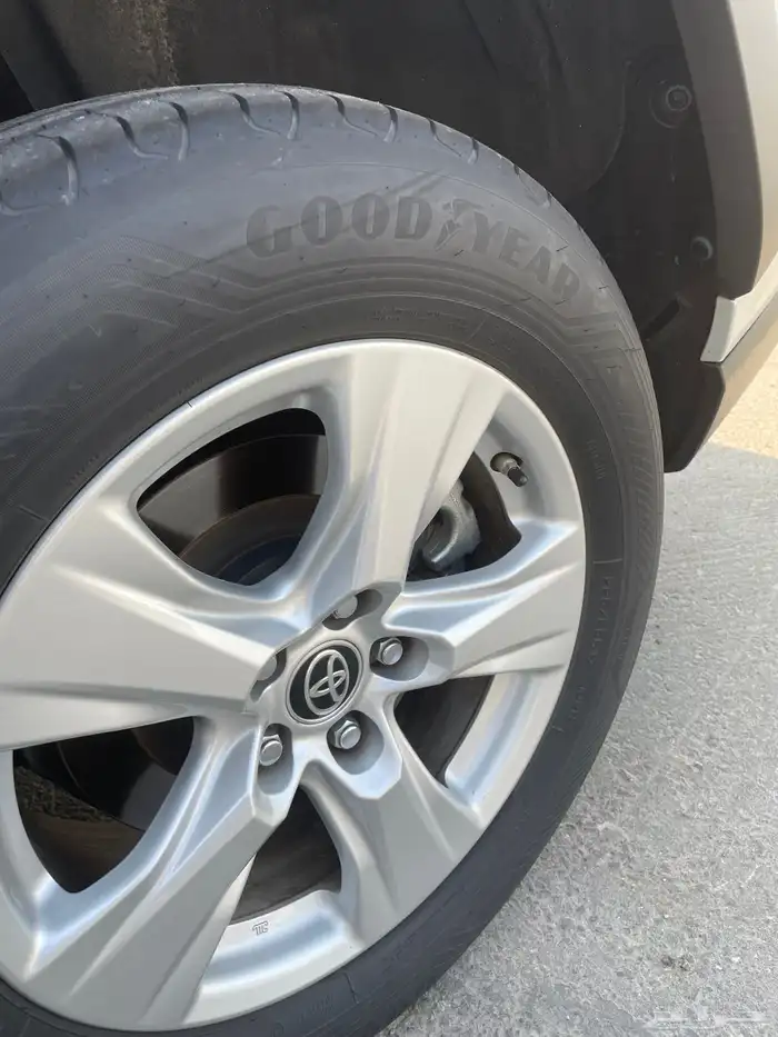 راف فور 2020 8