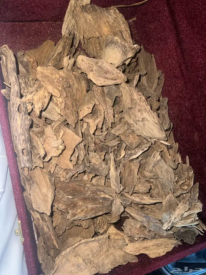 عود طبيعي ملكي كلمنتان مالينو 0