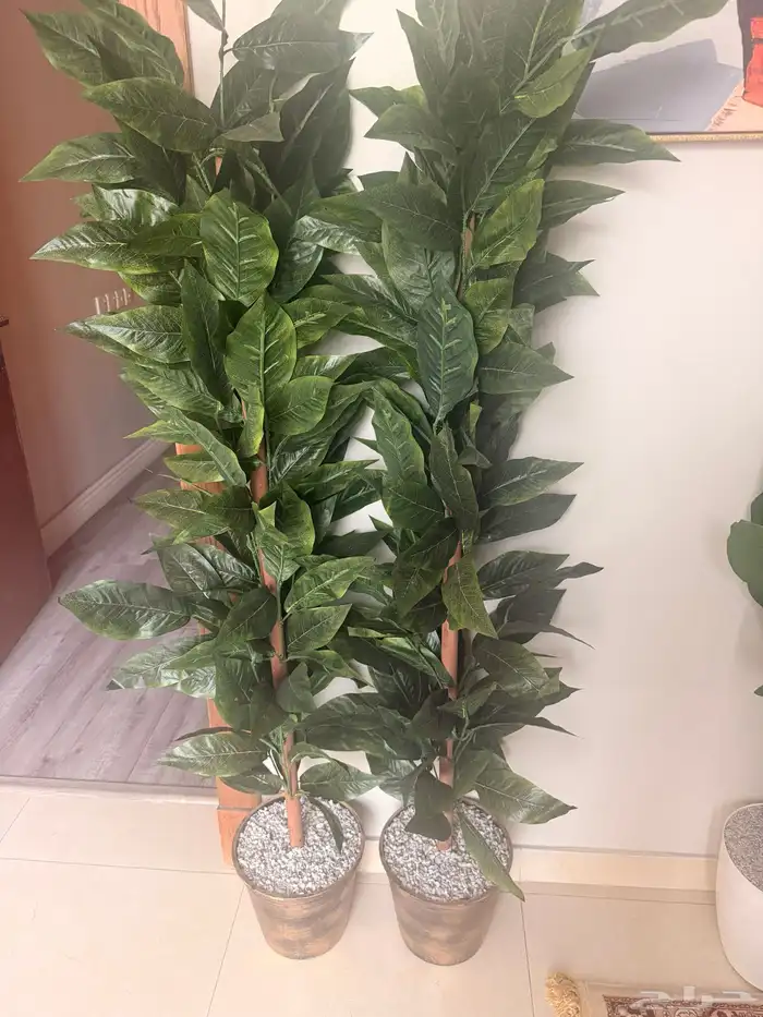 اثاث مكتبي اخو الجديد 7