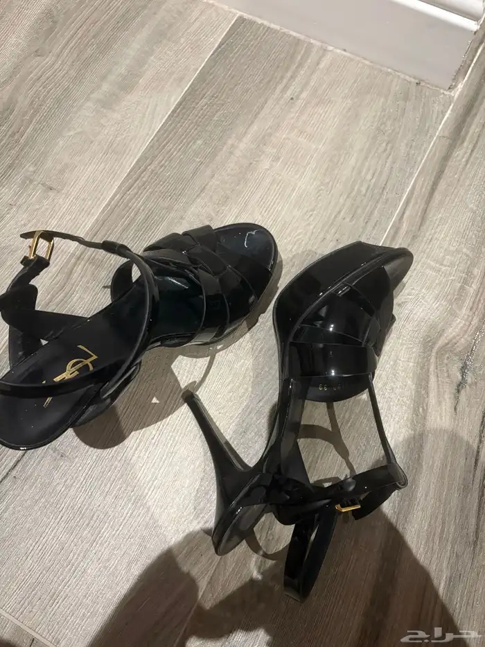 كعب سالوران 5