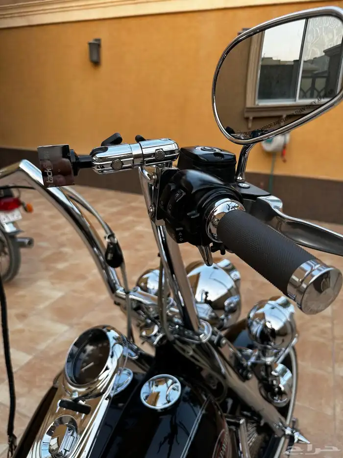 للبيع هارلي ديفيدسون 13