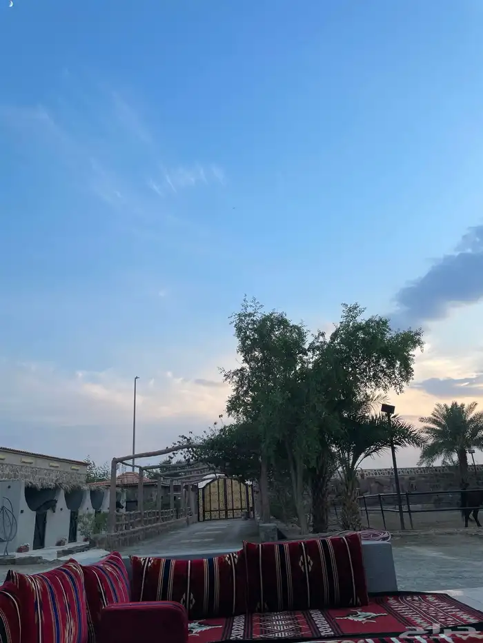 تاجير خيل 10