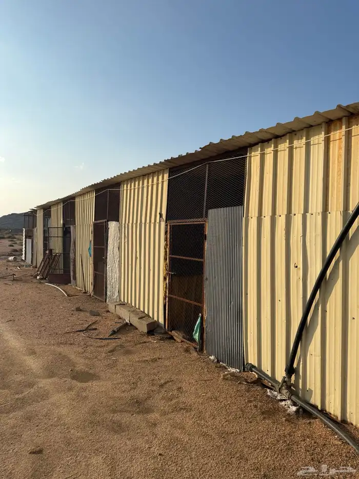 مشروع حمام فرنسي للتقبيل مزرعه 11