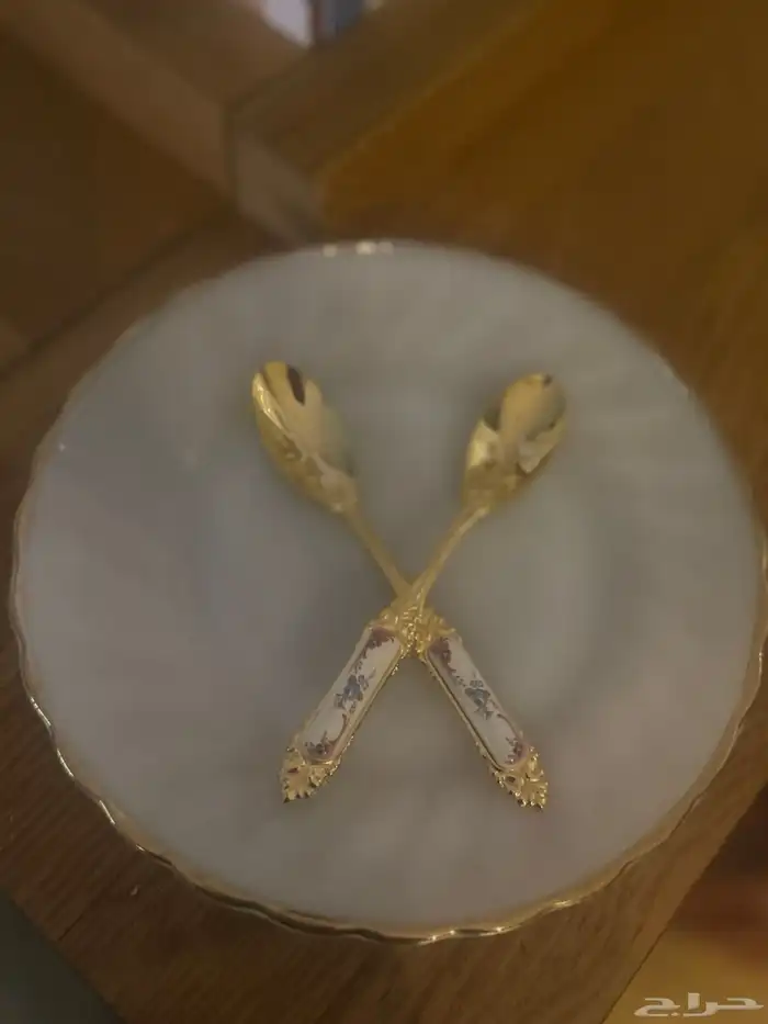 صحون نادره 2