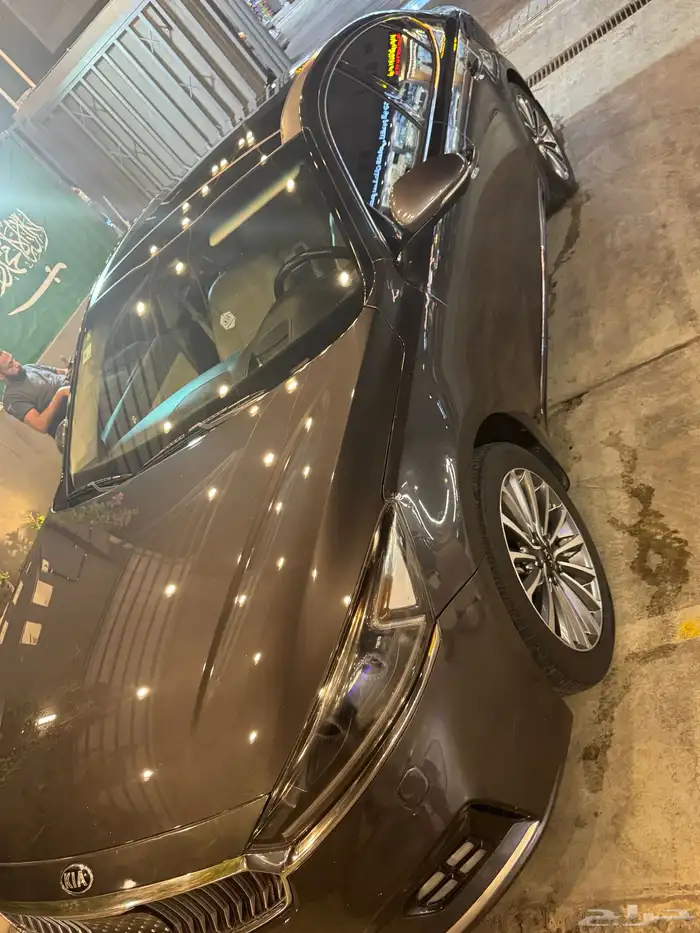 كادينزا 2017 11