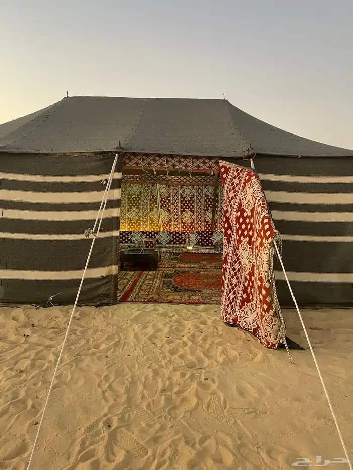 للإيجار مخيم في النعيرية 3