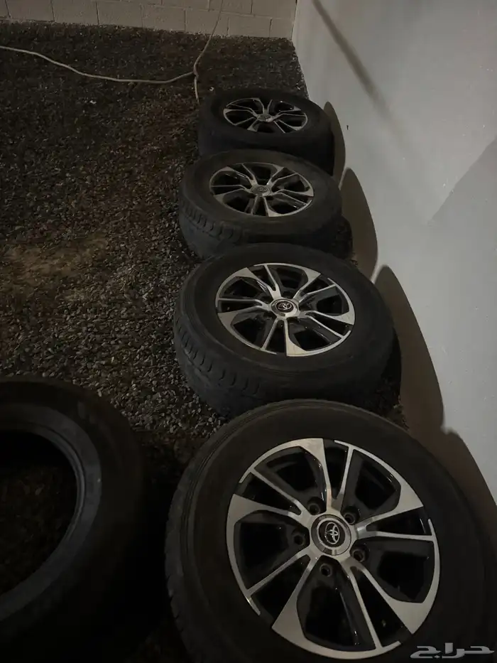 جنوط لاند كروزر 2021 1