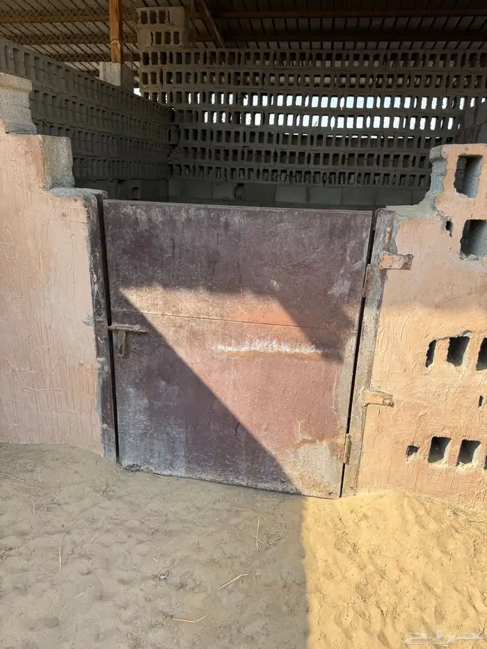 ابواب بايكات خيل 0