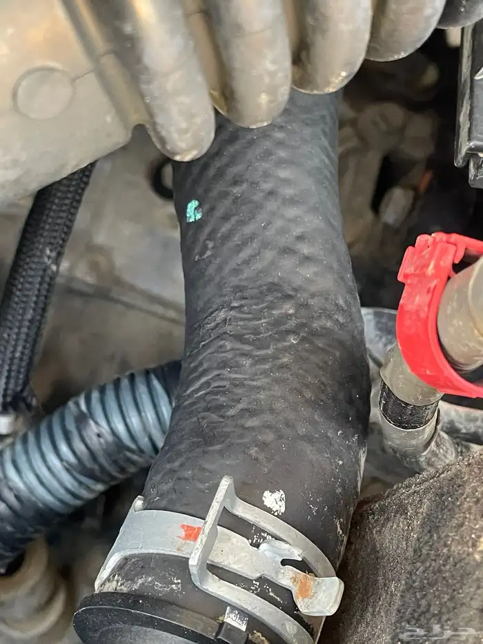 كورولا 2015 نظيفة وكالة 1 19