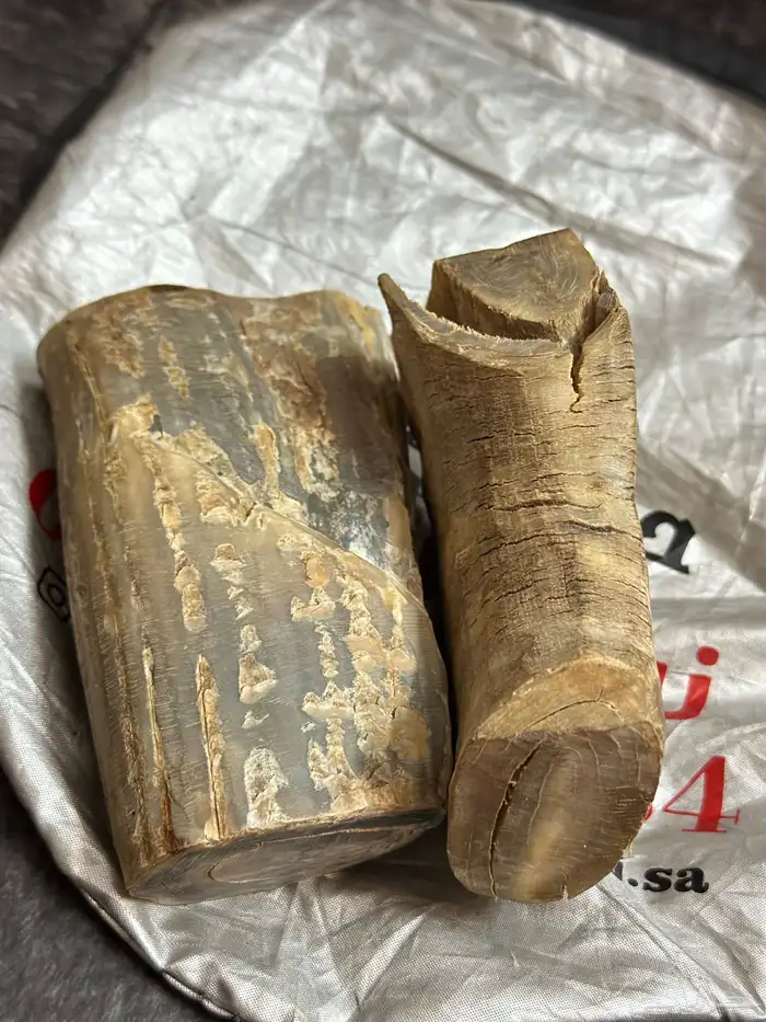 قطعتين قرن جاموس طبيعي للي يبي يقصها 10