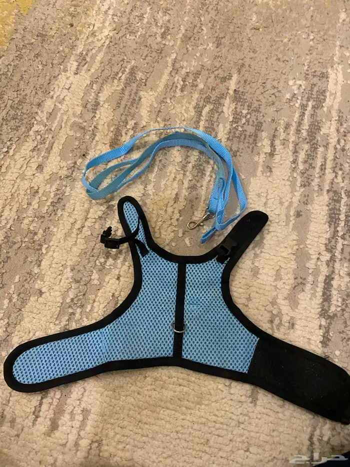 أرنب للبيع مع مسلحقات 1