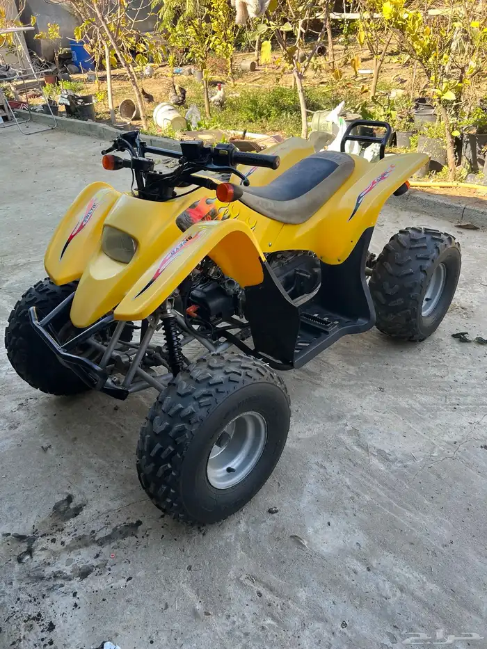 دباب سويدي مقاس 100 6