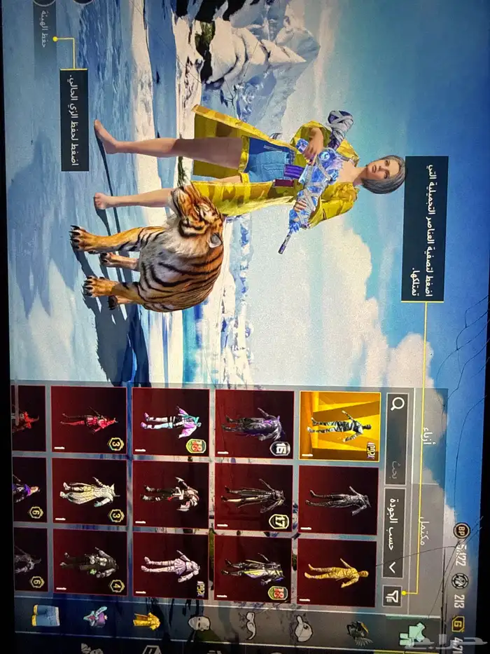 حساب ببجي العالمية 0