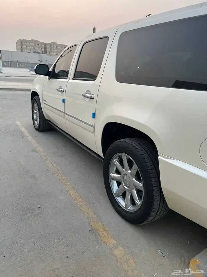 دينالي 2014 12