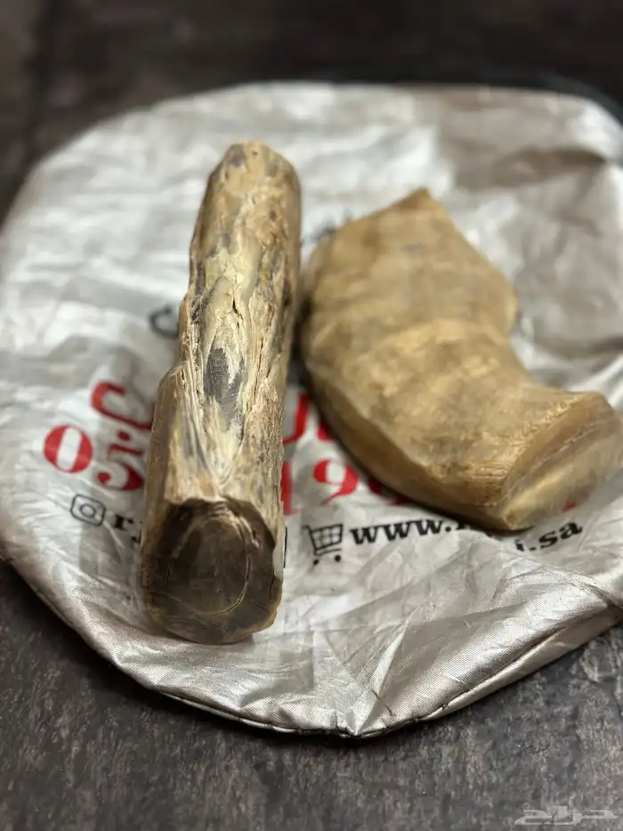 قطعتين قرن جاموس طبيعي للي يبي يقصها 6