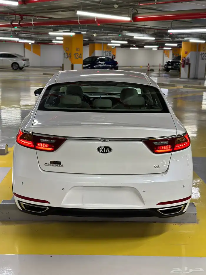 كادينزا 2017 شد بلد 8