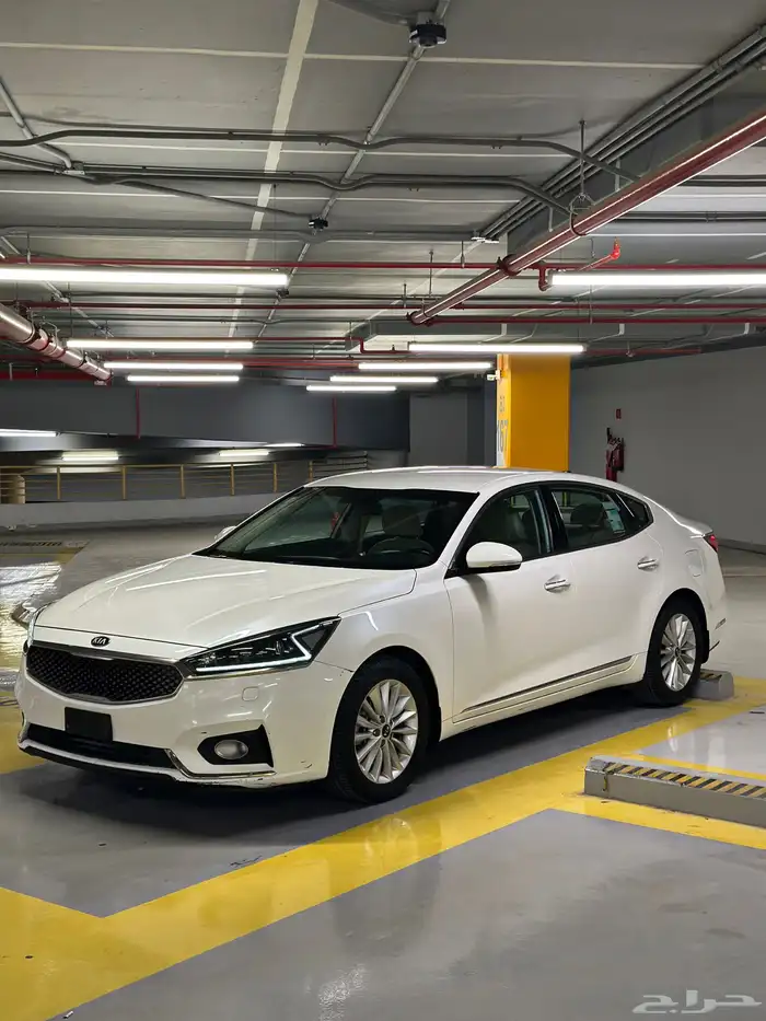 كادينزا 2017 شد بلد 12