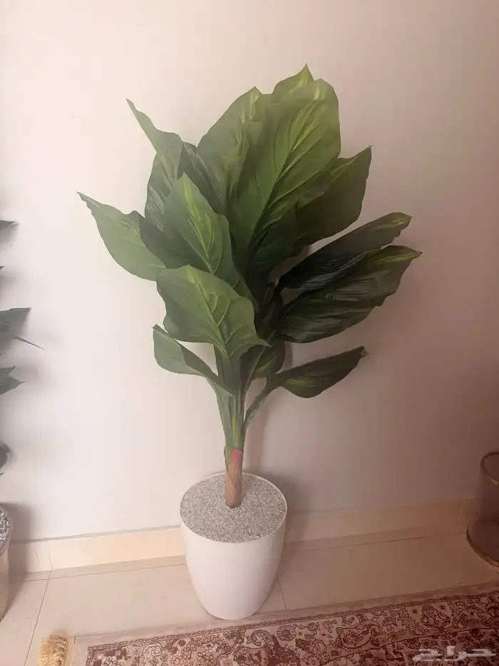 اثاث مكتبي اخو الجديد 6