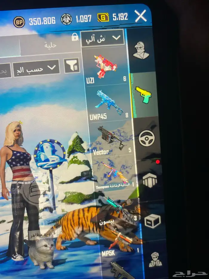 حساب ببجي 17