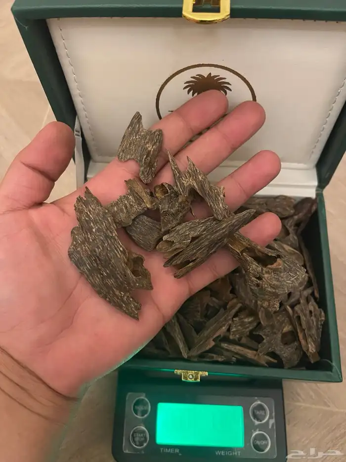 عود فيتنامي غابات نهكة كمبودية طبيعي 0