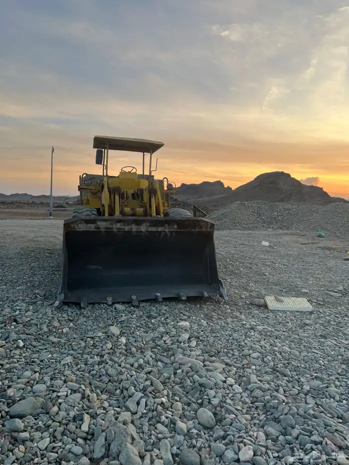 شيول للبيع 3