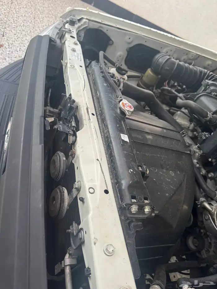 ربع وارد الوليد 4