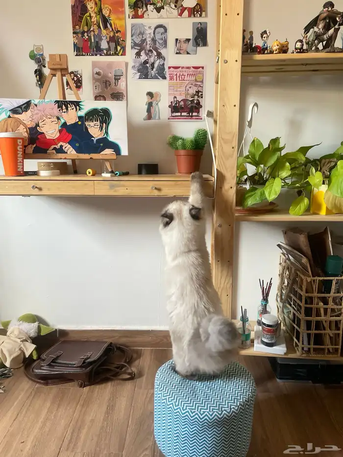 مكتب ايكيا معلق 0