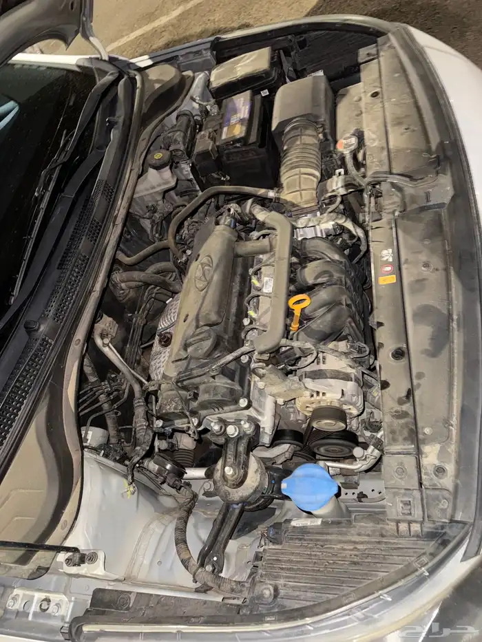 اكسنت 2022 المجدوعي ممشى 140الف 12