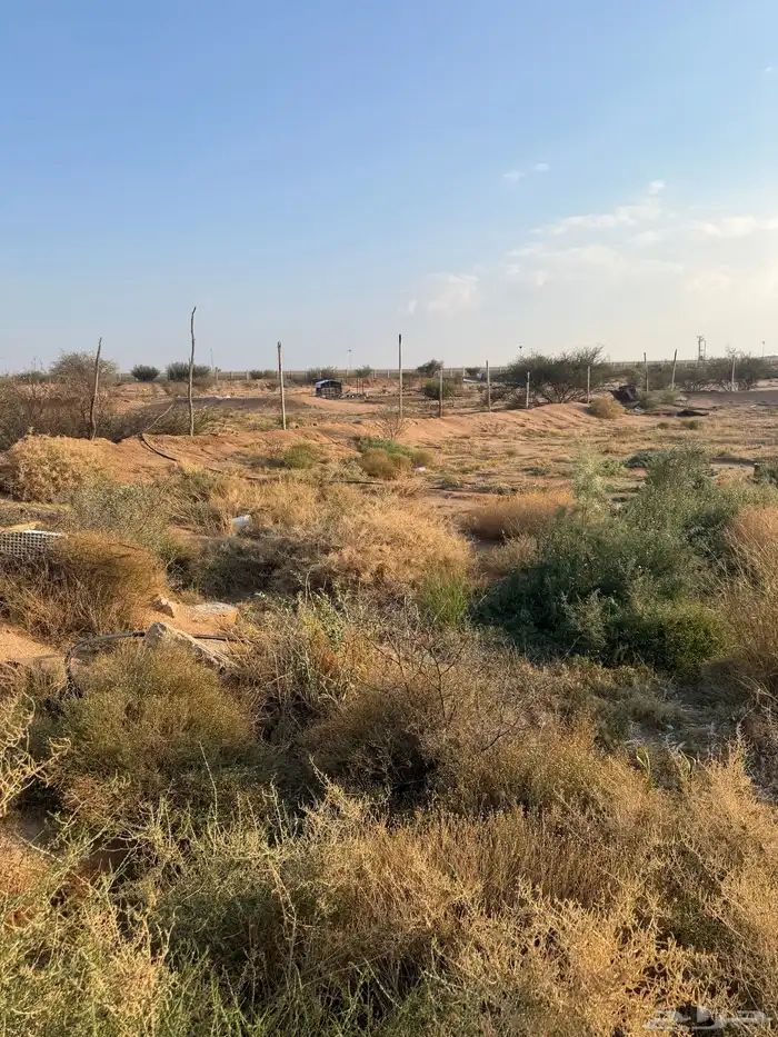 مشروع حمام فرنسي للتقبيل مزرعه 2