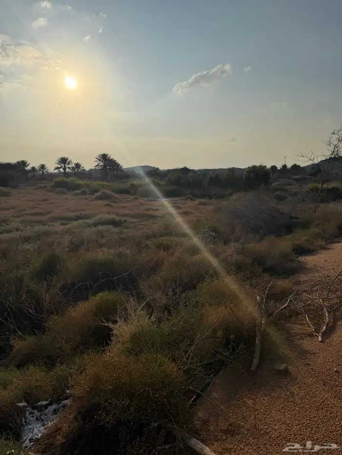 مشروع حمام فرنسي للتقبيل مزرعه 3