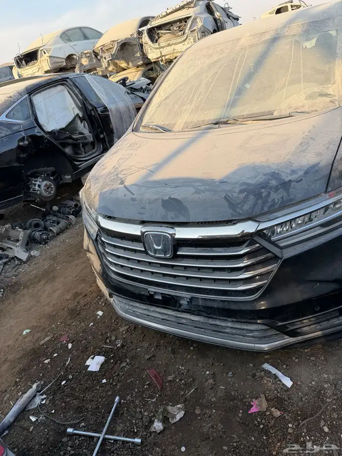 هوندا أودي سي أربع سلندر موديل 2024 5