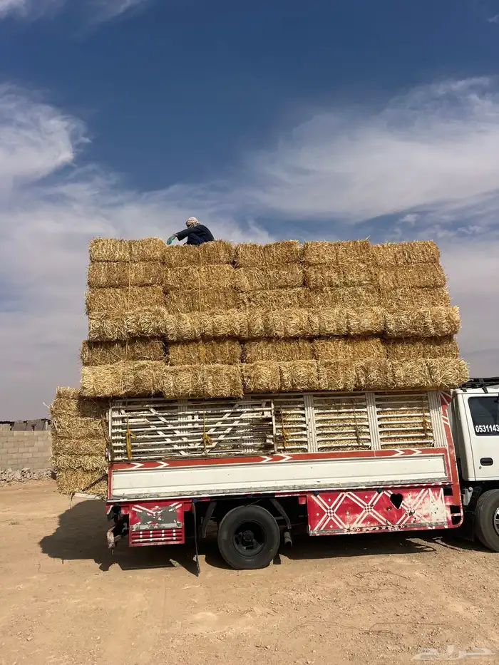 تبن بر صافي 2