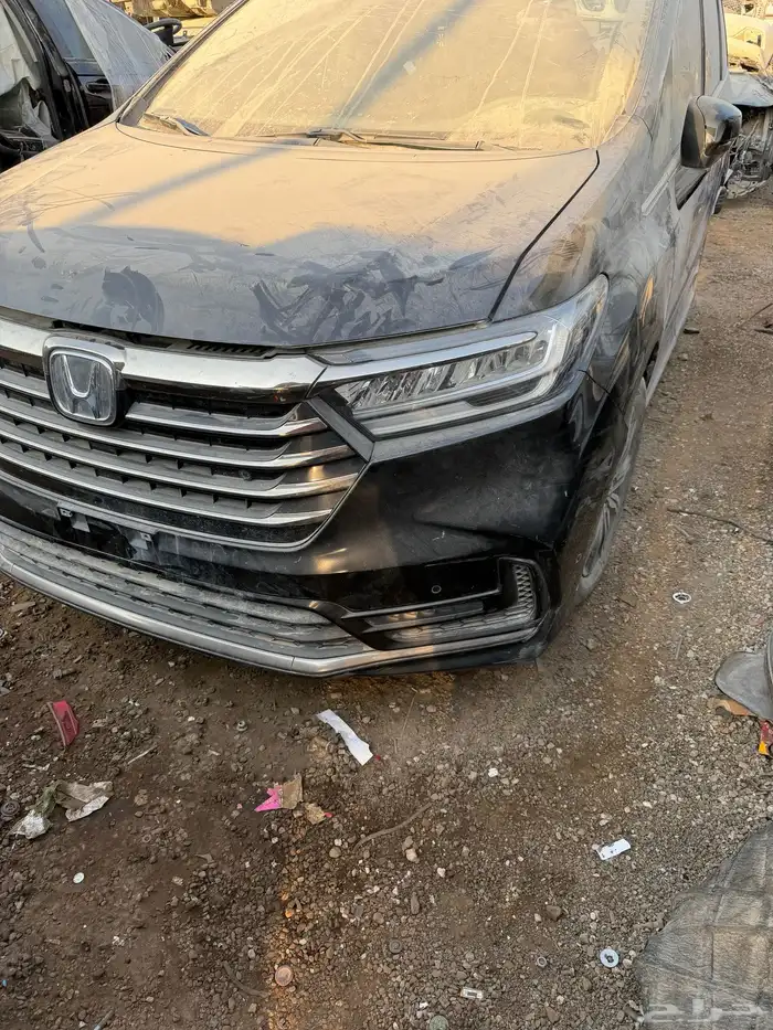 هوندا أودي سي أربع سلندر موديل 2024 0