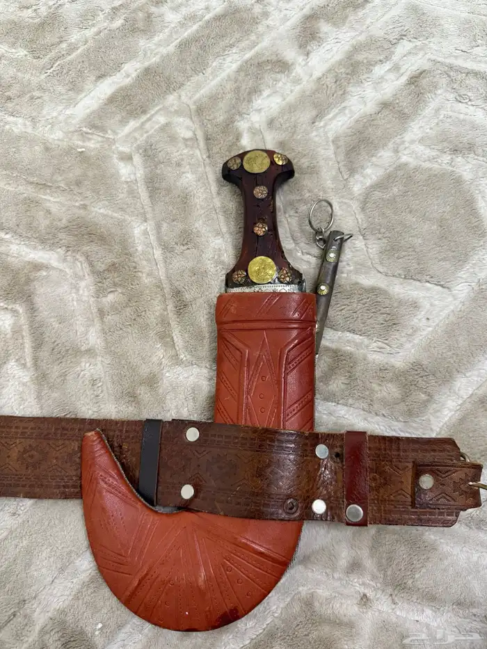 جنبيه قرن قديم على الشرط 1