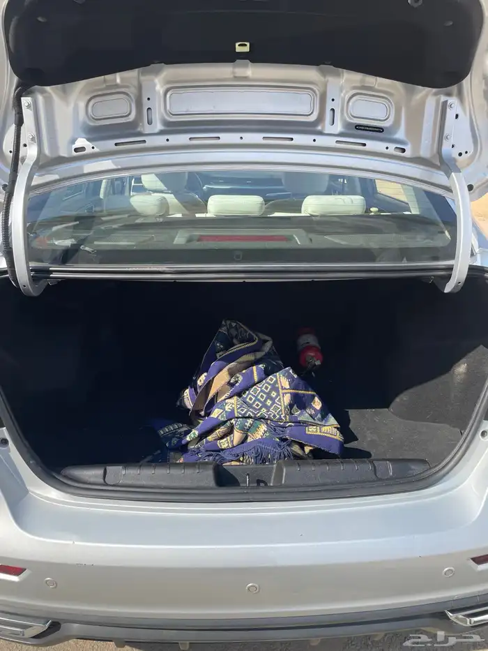 شيري اريزو 5 2024 12