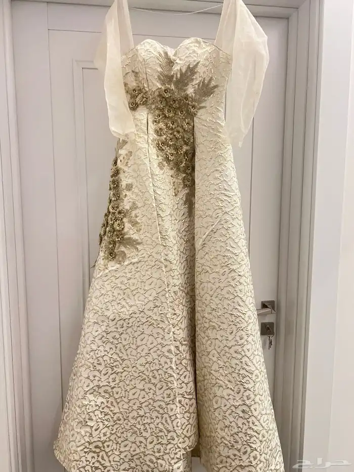 فستان انيق وناعم 0