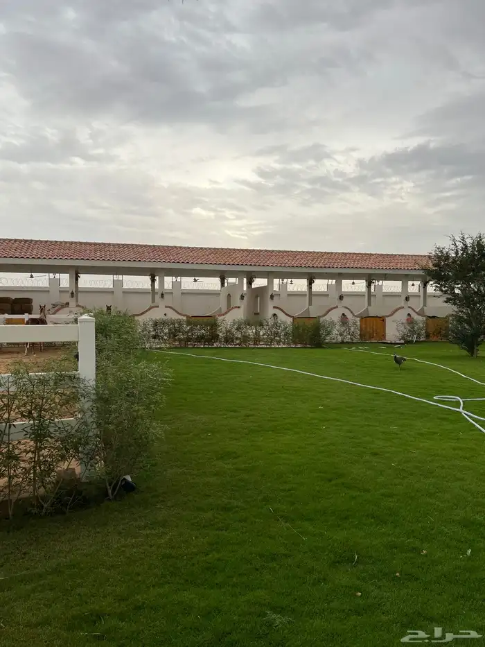 مربط و اسطبل ل ايواء الخيل Horse Stable - شمال جدة (ذهبان) 0