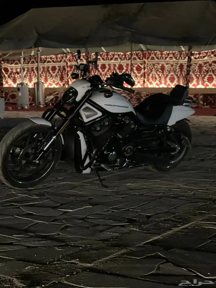 هارلي ديفيدسون نايت رود   - V- ROD Night Rod Spicial 6