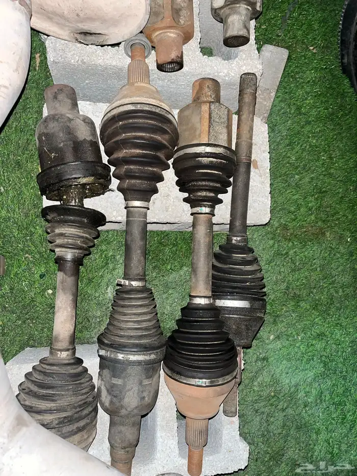 عكوس دوج رام 0