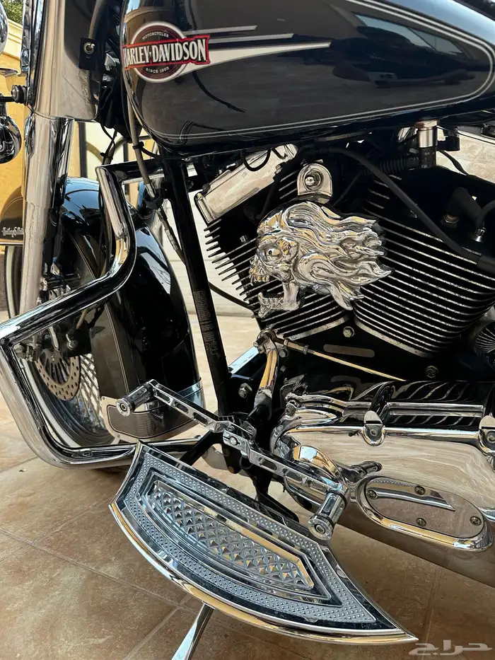 للبيع هارلي ديفيدسون 7