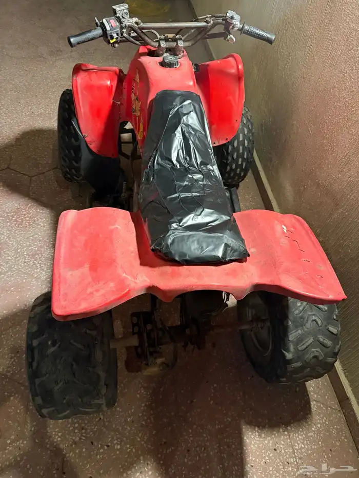 دباب سويدي حجم 100 للبيع 2