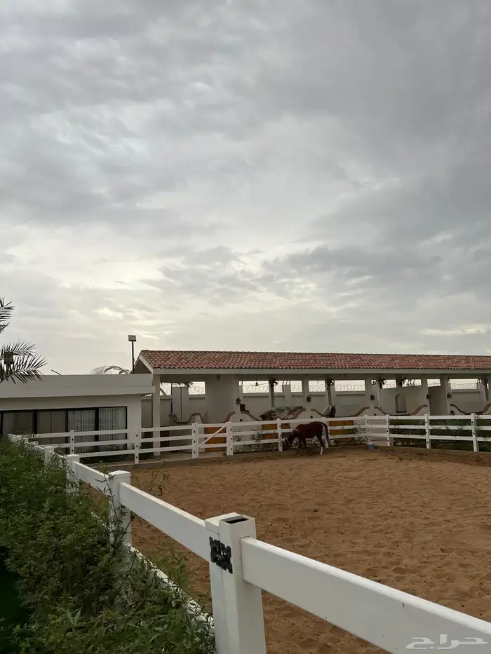 مربط و اسطبل ل ايواء الخيل Horse Stable - شمال جدة (ذهبان) 1