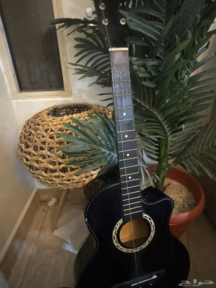 قيتار ماركه امون 0