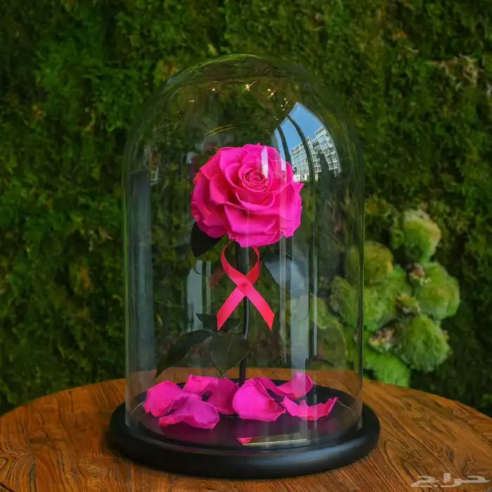 تقبيل محل ورد 2