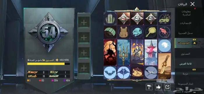 حساب ببجي نادر للبيع 5