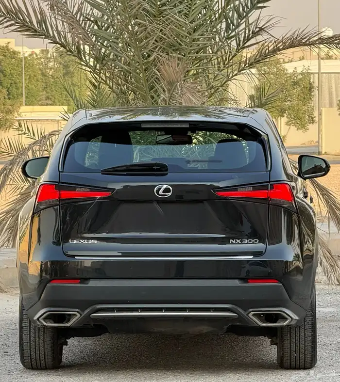 لكزس NX200 2020 ممشى (60) الف اف سبورت 4
