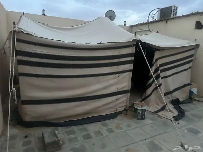 بيت قطبه بيضاء 1