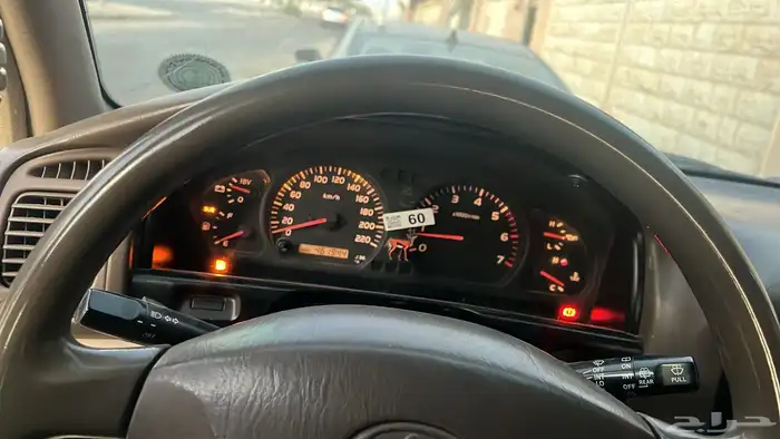 جيب صلون للبيع 5