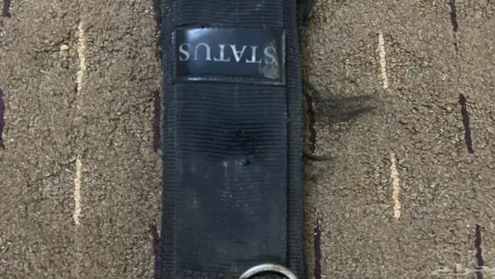 حزام عسافه للخيل نظيف 2