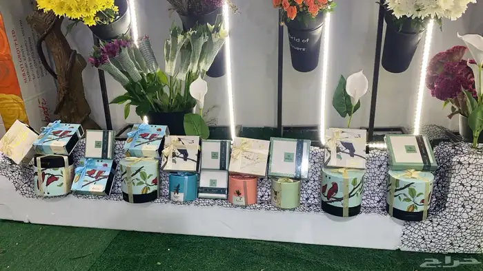 زهرة تشرين 3